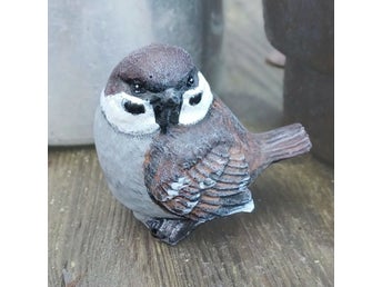 Pilfink i betong! Naturlig storlek, fågel, naturtrogen