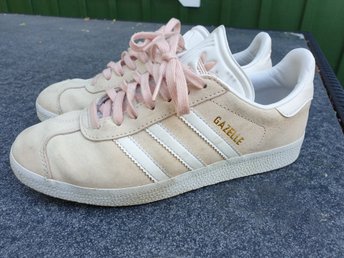 gazelle 37