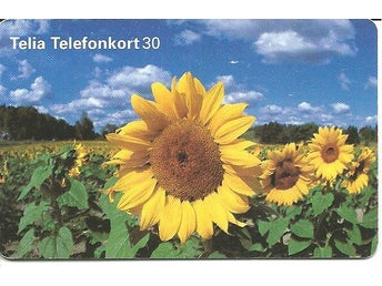 Telia Telefonkort 30 markeringar - Foto: Rolf Nyström
