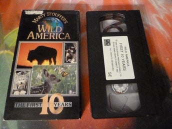 THE FIRST TEN YEARS, WILD AMERICA, VHS, FILM