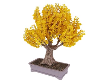 Ginkgo Biloba Bonsai frön