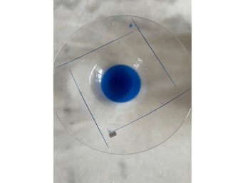 Kolmården Design Glasskål