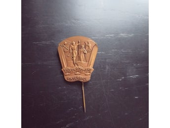 Skolungdomens Vinterspel 1954