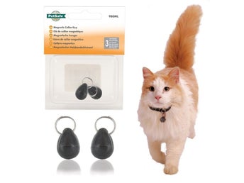 2 st Magnetnyckel, PetSafe och Staywell kattluckor Oanvända i förp.