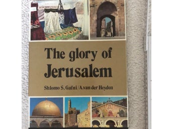 The glory of Jerusalem av Shlomo S. Gafni/A. van der Heyden