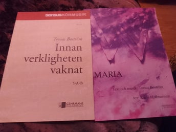 Innan verkligheten vaknat & Maria - Tomas Boström