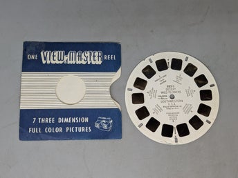 View-Master - Desert Flowers Soutwestern USA 985-B