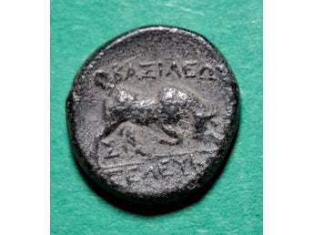 Seleukidiska kungariket - Seleukos I Nikator 312-281 f.Kr. 2,53gm. 14mm.
