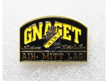 ^^ AIK – GNAGET -PINS ^^