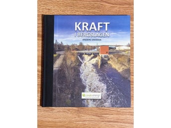 Kraft i Bergslagen - Anders Erkman | Nyskick Oläst