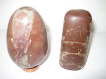 Ortoceratiter fossil,, Ortoceratit
