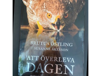 Att överleva dagen av Brutus Östling, Susanne Åkesson, 2010