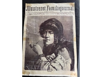 Illustreret Familiejournal 1877