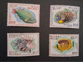 Frimärken Belgien 1968 Prydnadsfiskset Komplett oanvänd