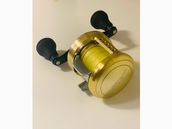 daiwa luna 253l