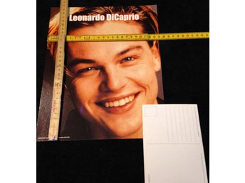 Leonardo DiCaprio (APR317) - Jätte Vykort 1st 30cm x 24cm Samlarobjekt