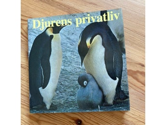 Djurens privatliv. 1978.