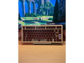 Chillkey ND75 + Raptor MX Switches