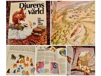 Djurens värld; Rowland-Entwistle & Cooke 1976. Djur, zoologi, natur, biologi.