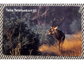 Telia Telefonkort 60 markeringar Retro Foto Jan Elmelid