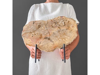 Förstenat fossilt trä 35 cm x 29 cm inklusive stativ av metall 20-23 miljoner år