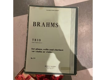 Brahms Trio in A minor Op. 114
