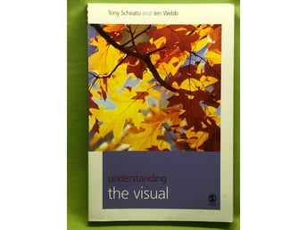 Understanding the visual / Tony Schirato, Jen Webb