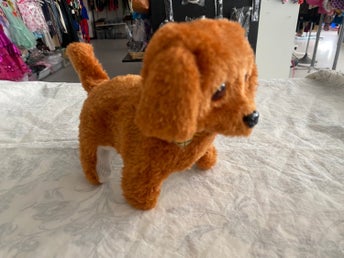 Hund Valpen