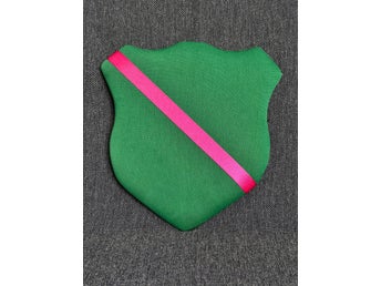 Märkestavla för simmärken/smycken Grön /Ross satinband