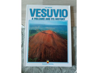 VESUVIO A VOLCANO AND ITS HISTORY by ELIO ABATINO