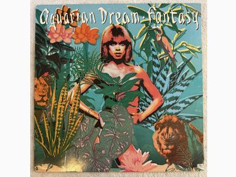 洋楽 aquarian dream fantasy raregroove disco OC0yNTgwLmpwZWc.jpeg