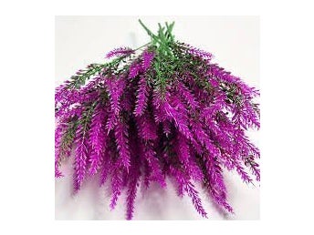 Konstgjord Lavendel, Ljung 3 kvistar mörk cerise