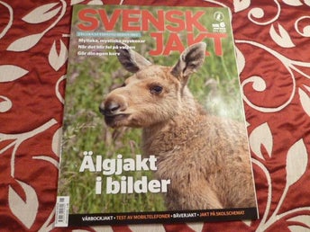 SVENSK JAKT NR6, 2012