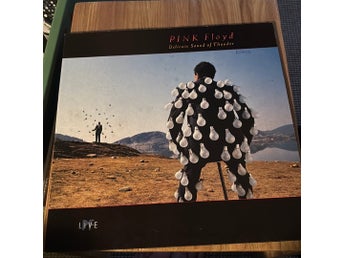 Pink Floyd – Delicate Sound of Thunder