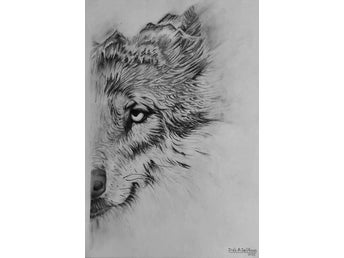 Lobo
