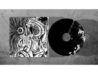 886VG-II [CD] chile noise