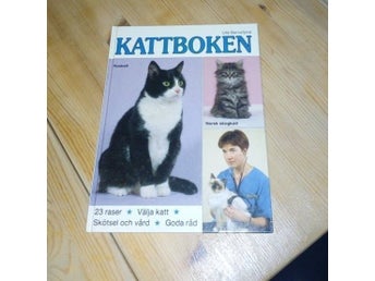 Kattboken - Ulla Barvefjord