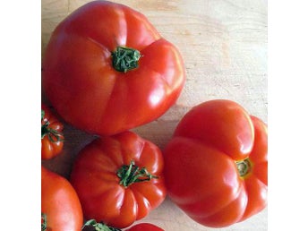 Marmande, röd vacker Bifftomat