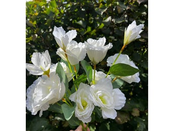 Konstgjorda vita blommor/ 3 st kvistar