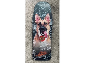 Santa Cruz Skateboard
