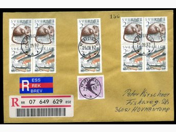 LOT e89 / REK BREV MED FINA STÄMPLAR PÅ FRIMÄRK.. (384719796) ᐈ Köp på