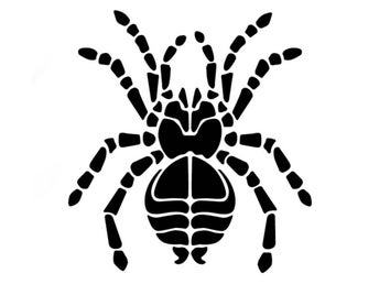 Domännamn: spiders.se