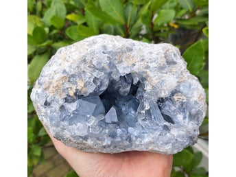 Blå Celestite geod ädelsten 2 kg ädelstenssamling kristall kristaller