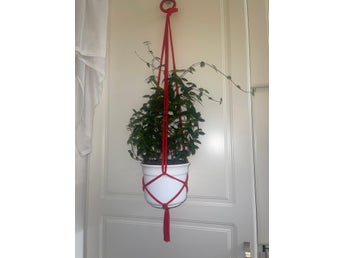 ampel för blomkruka , plants hanger, makramé, växter, röd, 10-12 cm