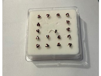 REA__1 ST, L-formad.nyckelpiga näspiercing i i