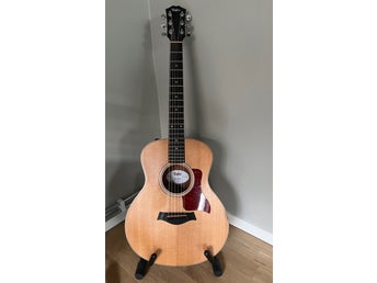Taylor GS Mini