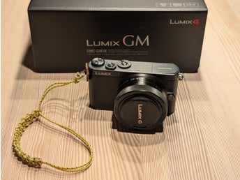 Panasonic Lumix GM1