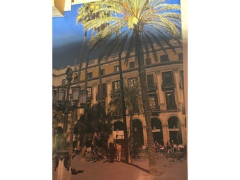 Flygresa Göteborg Barcelona