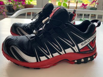 salomon xa pro 3d gtx 42