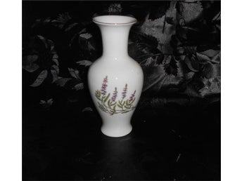 ***LITEN VAS LJUNG, CALLUNA VULGARIS, HACKEFORS***